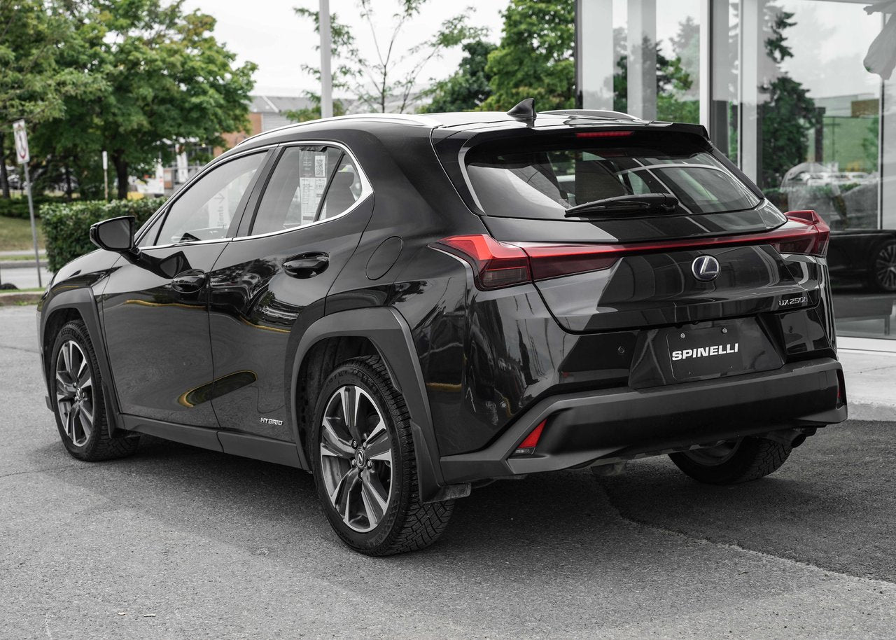 2019 Lexus UX 250h **LUXURY HYBRIDE AWD**
