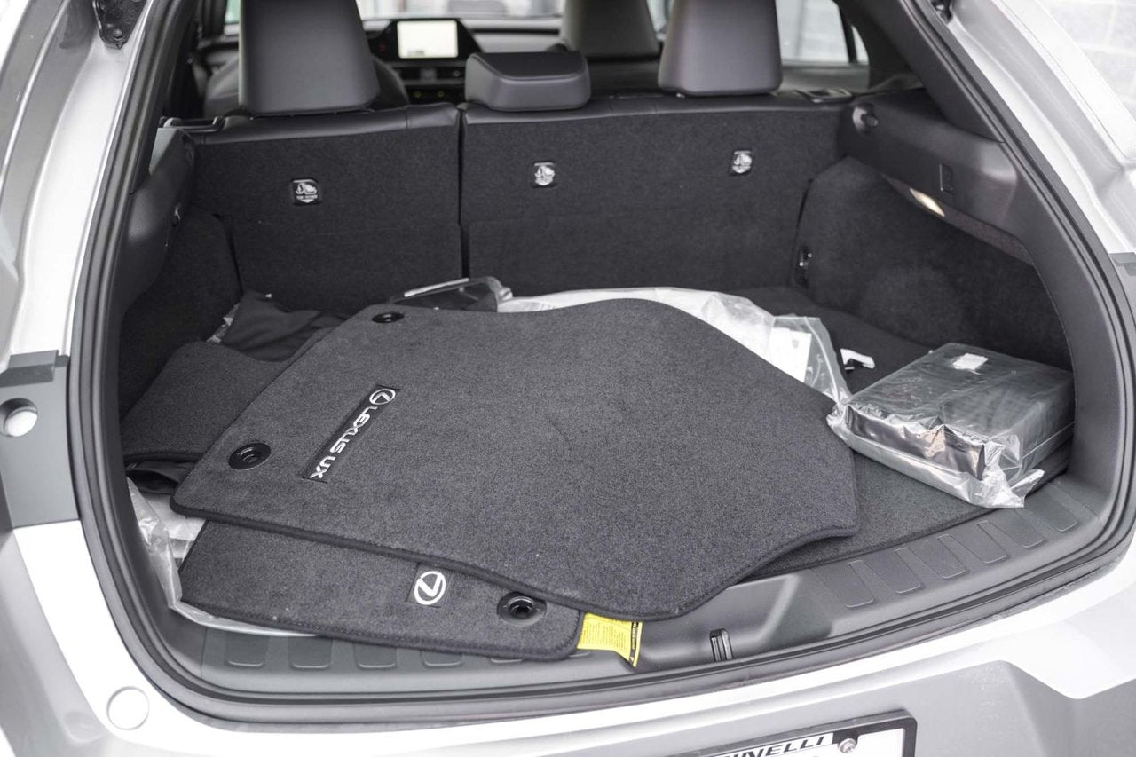 2025 Lexus UX UX 300h Premium