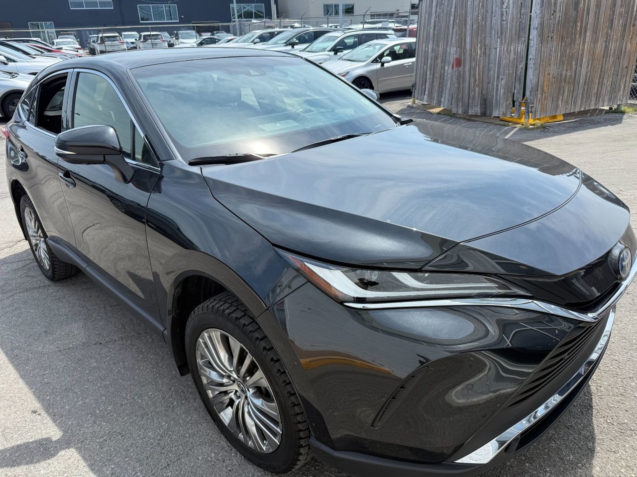 2022 Toyota Venza LIMITED AWD