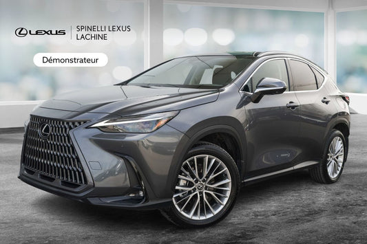2025 Lexus NX 350h 350h ULTRA LUXURY TOIT PANO CAMERA 360