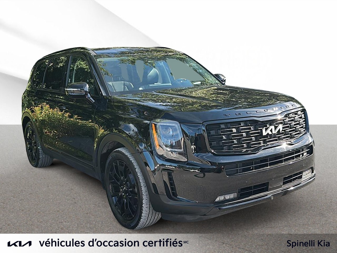 2022 Kia Telluride Nightsky