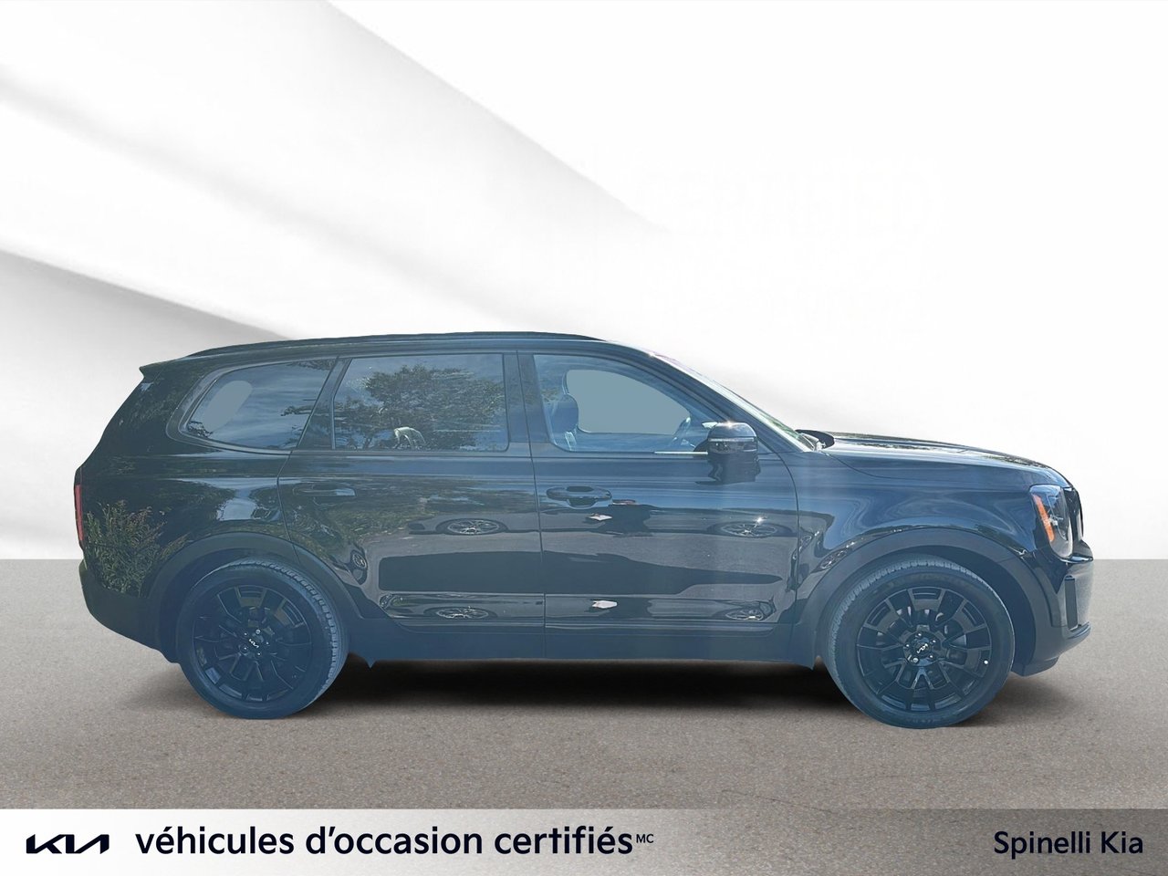 2022 Kia Telluride Nightsky