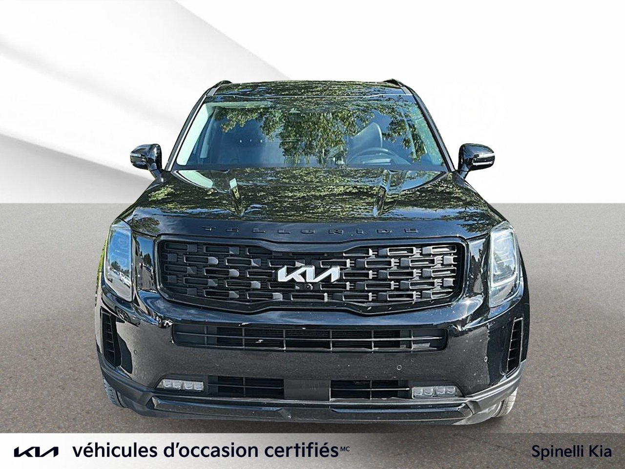 2022 Kia Telluride Nightsky