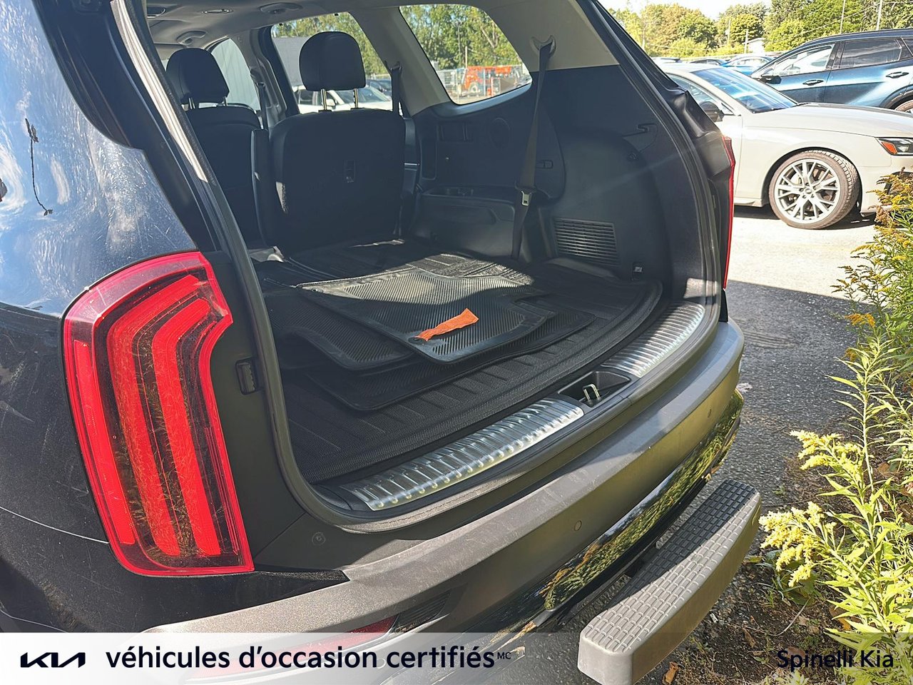 2022 Kia Telluride Nightsky