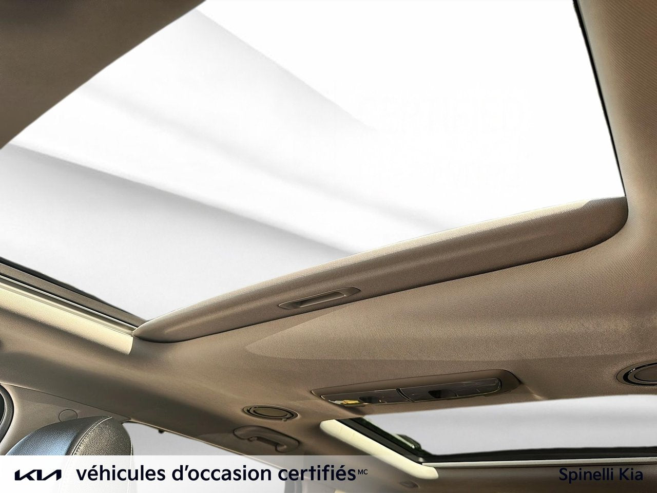 2022 Kia Telluride Nightsky