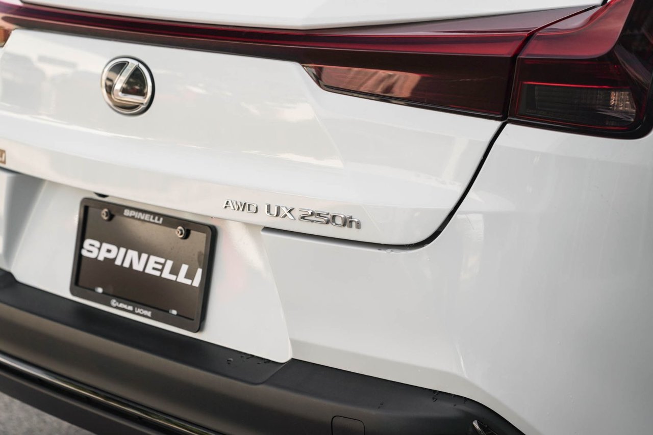 2024 Lexus UX 250h F SPORT 1 AWD CUIR ROUGE CARPLAY