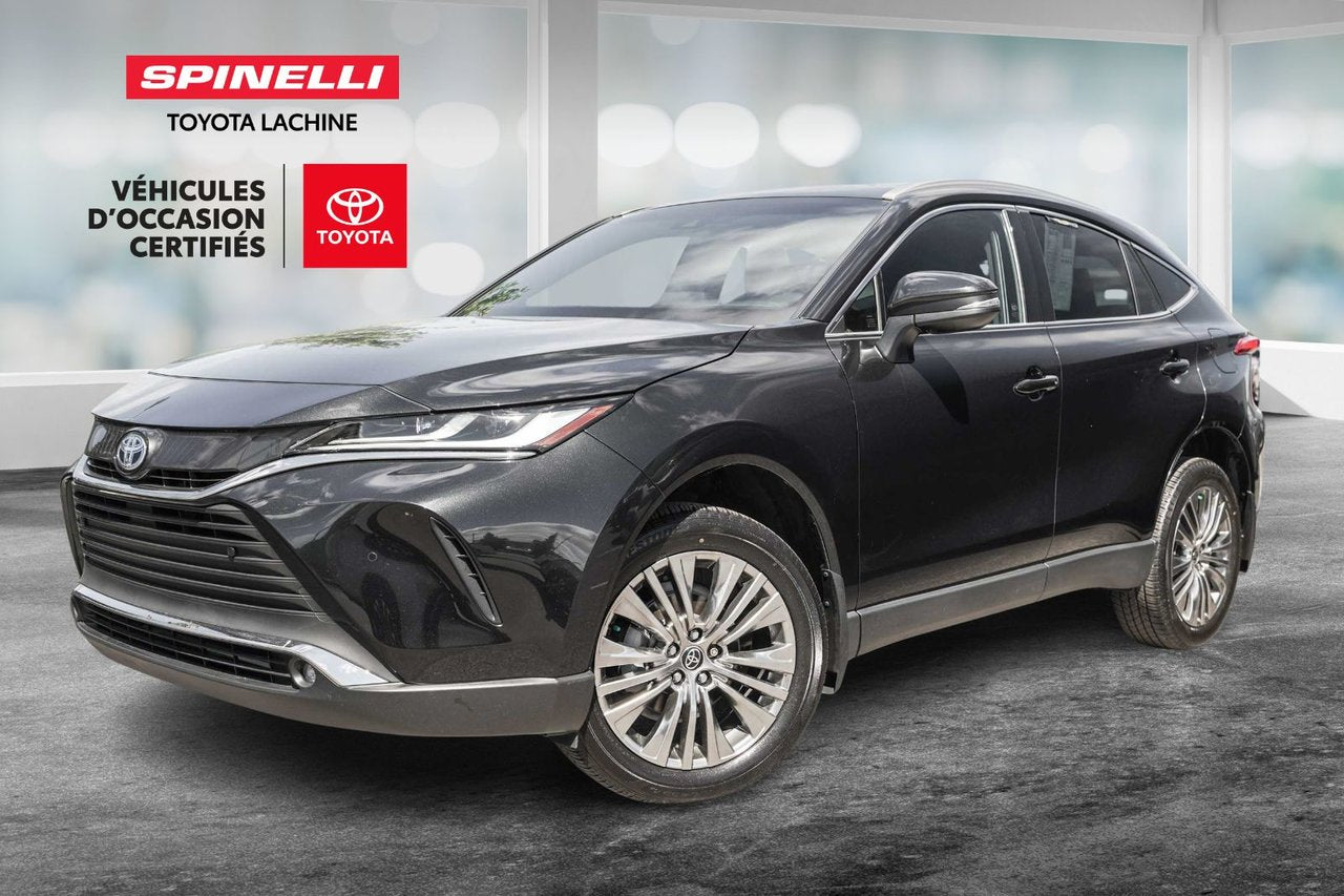 2024 Toyota Venza XLE AWD