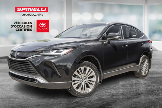 2024 Toyota Venza XLE AWD