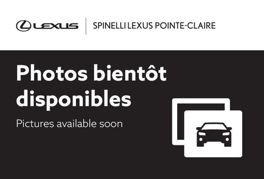 2023 Lexus NX 350h **HYBRIDE SIGNATURE PACKAGE**