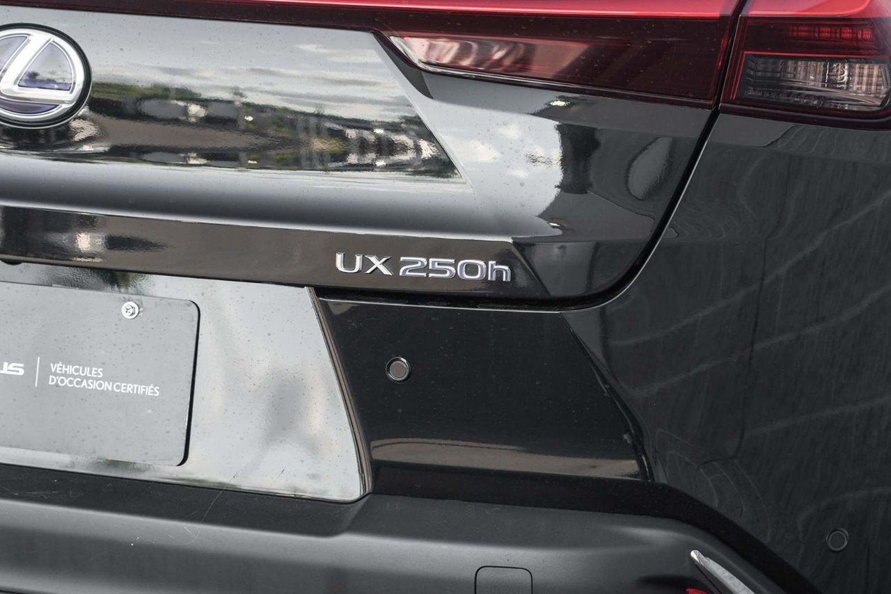 2021 Lexus UX UX 250h F SPORT 2 CUIR ROUGE MAGS TOIT