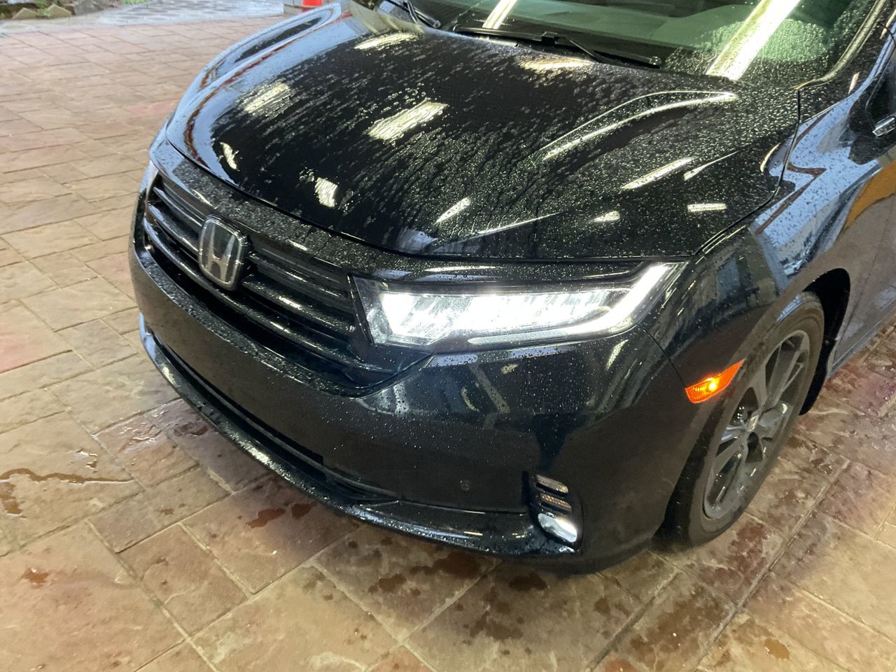 2024 Honda Odyssey Black Edition