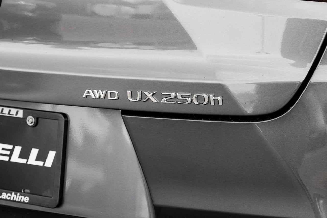 2024 Lexus UX 250h F SPORT 1 AWD CUIR CARPLAY