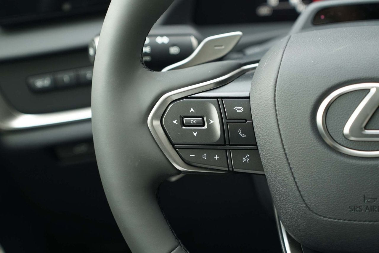 2025 Lexus RZ LUXURY