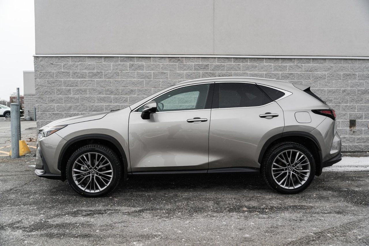 2026 Lexus NX Ultra Luxury