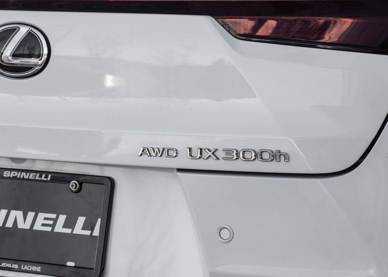 2025 Lexus UX 300h AWD F SPORT 2 CUIR ROUGE NAVI TOIT CARPLAY