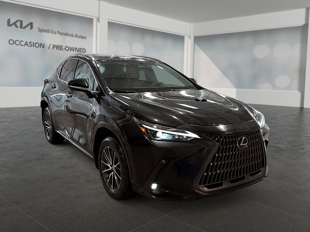 2024 Lexus NX NX 350