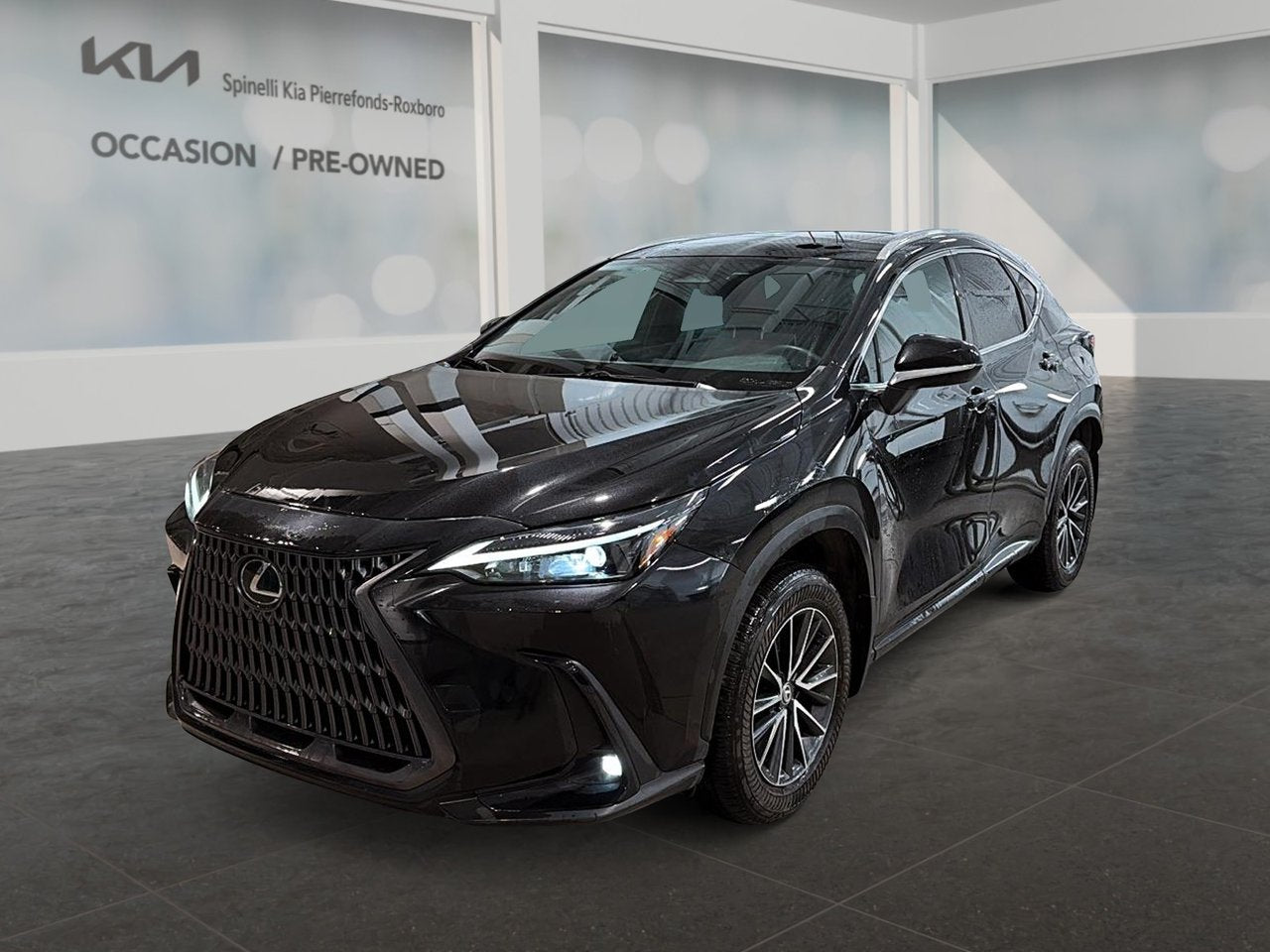 2024 Lexus NX NX 350