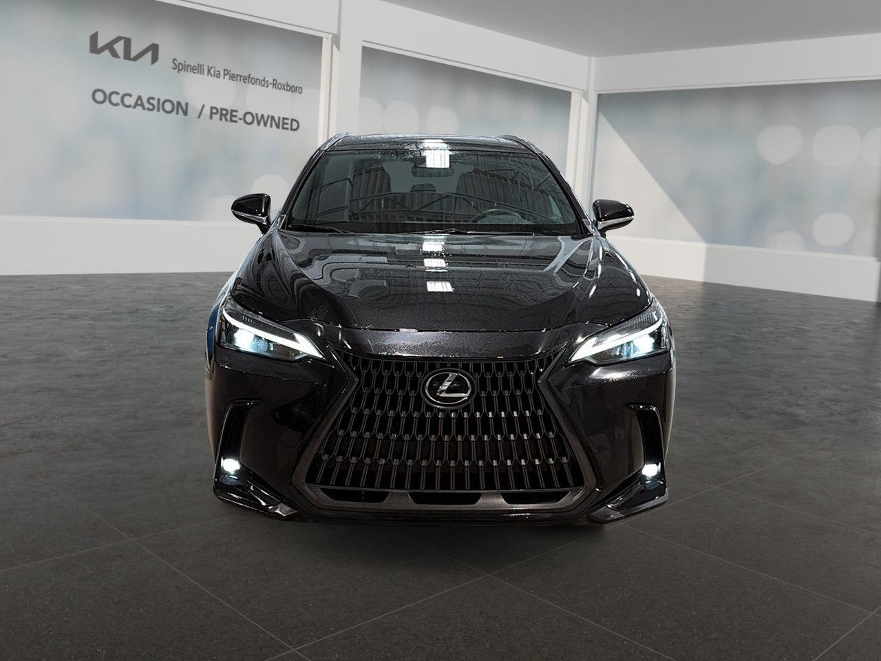 2024 Lexus NX NX 350