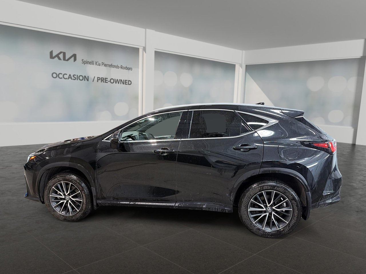 2024 Lexus NX NX 350