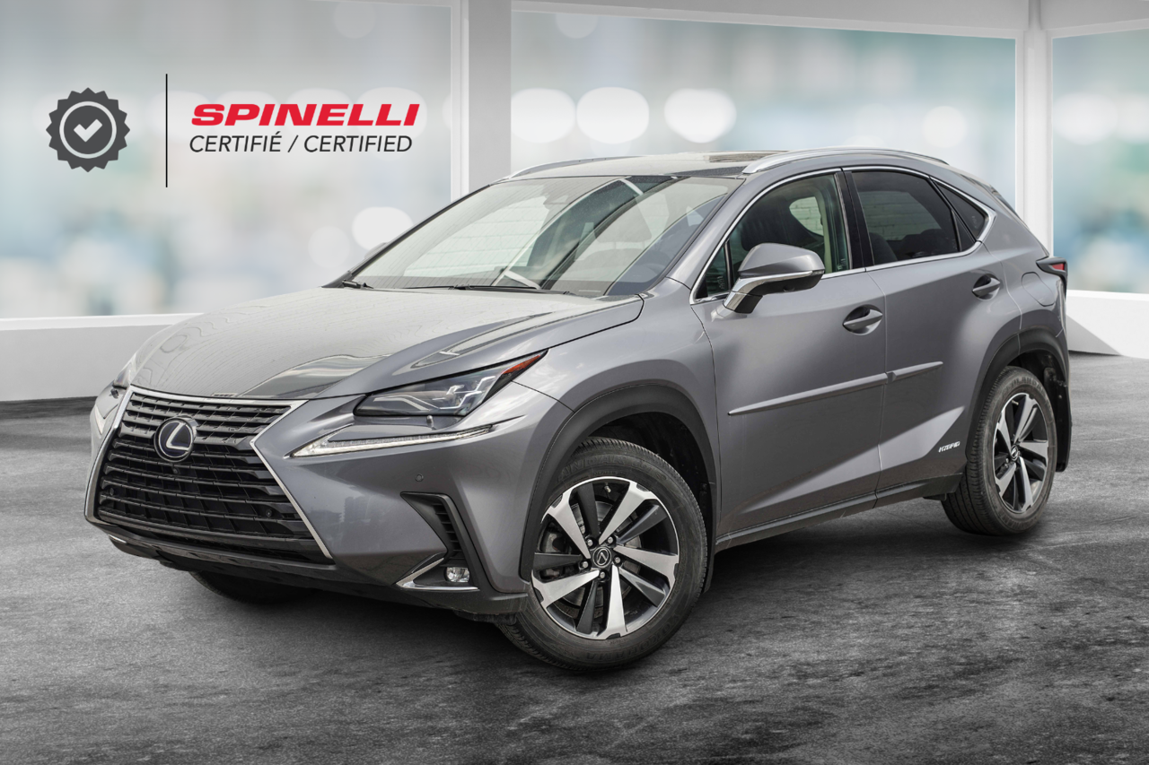 2021 Lexus NX NX 300h