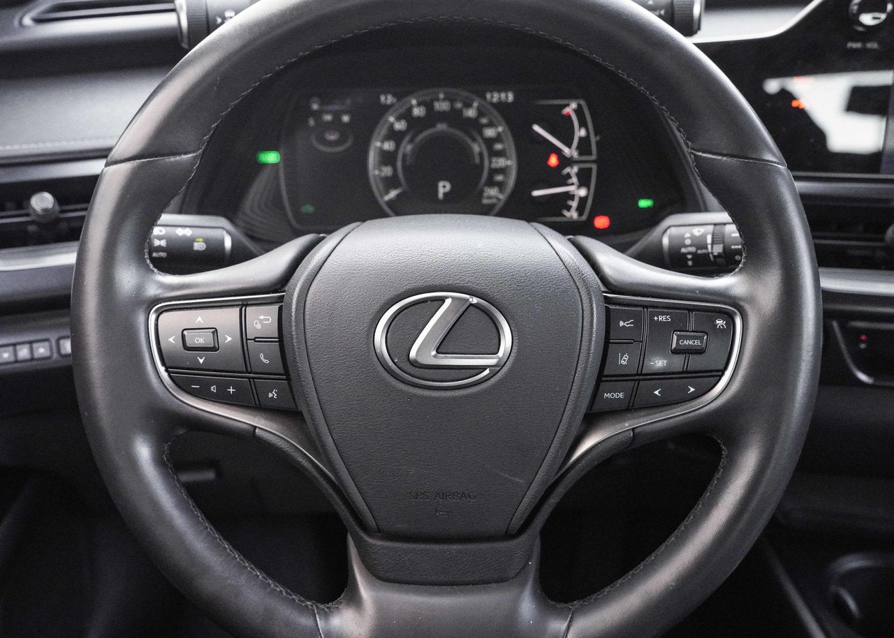 2024 Lexus UX 250h **PREMIUM HYBRIDE AWD**