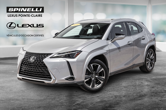 2024 Lexus UX 250h **PREMIUM HYBRIDE AWD**