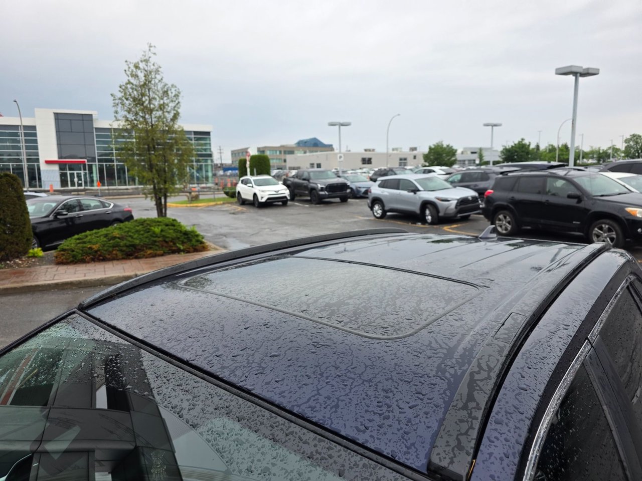 2021 Toyota RAV4 XLE AWD
