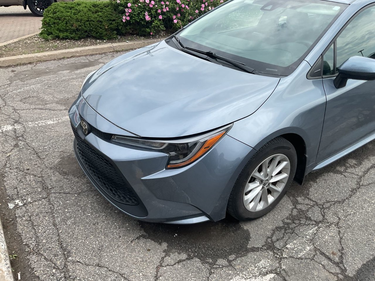 2022 Toyota Corolla LE Upgrade