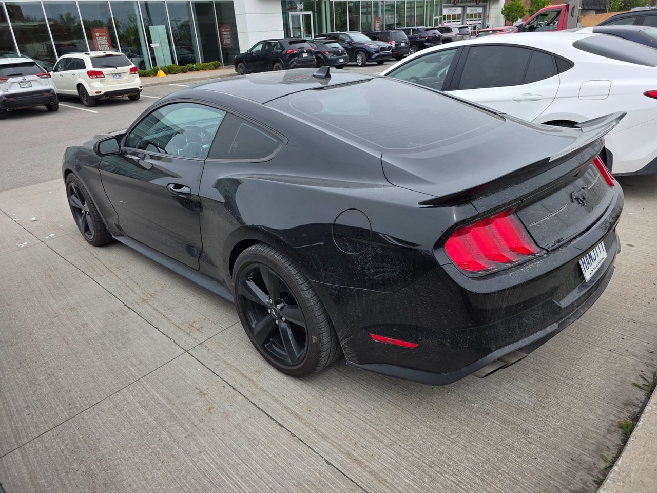2023 Ford MUSTANG FASTBACK ECOBOOST PREMIUM