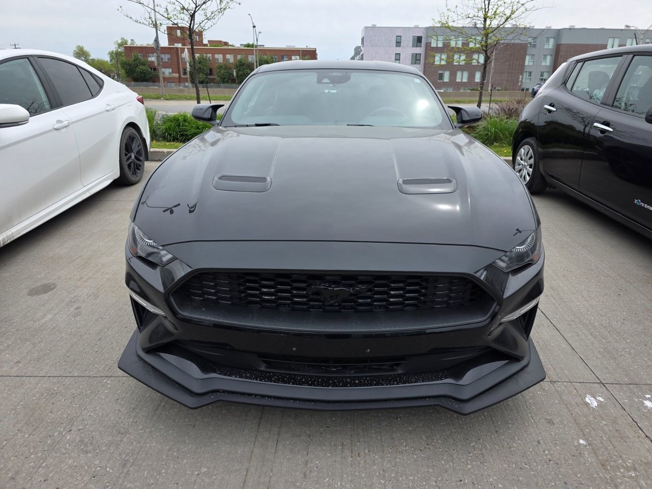 2023 Ford MUSTANG FASTBACK ECOBOOST PREMIUM