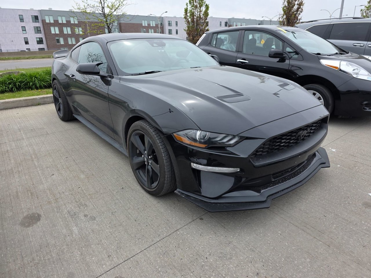 2023 Ford MUSTANG FASTBACK ECOBOOST PREMIUM