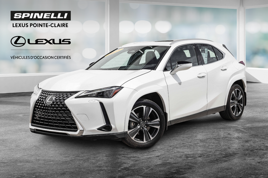2025 Lexus UX300h **PREMIUM HYBRIDE AWD**