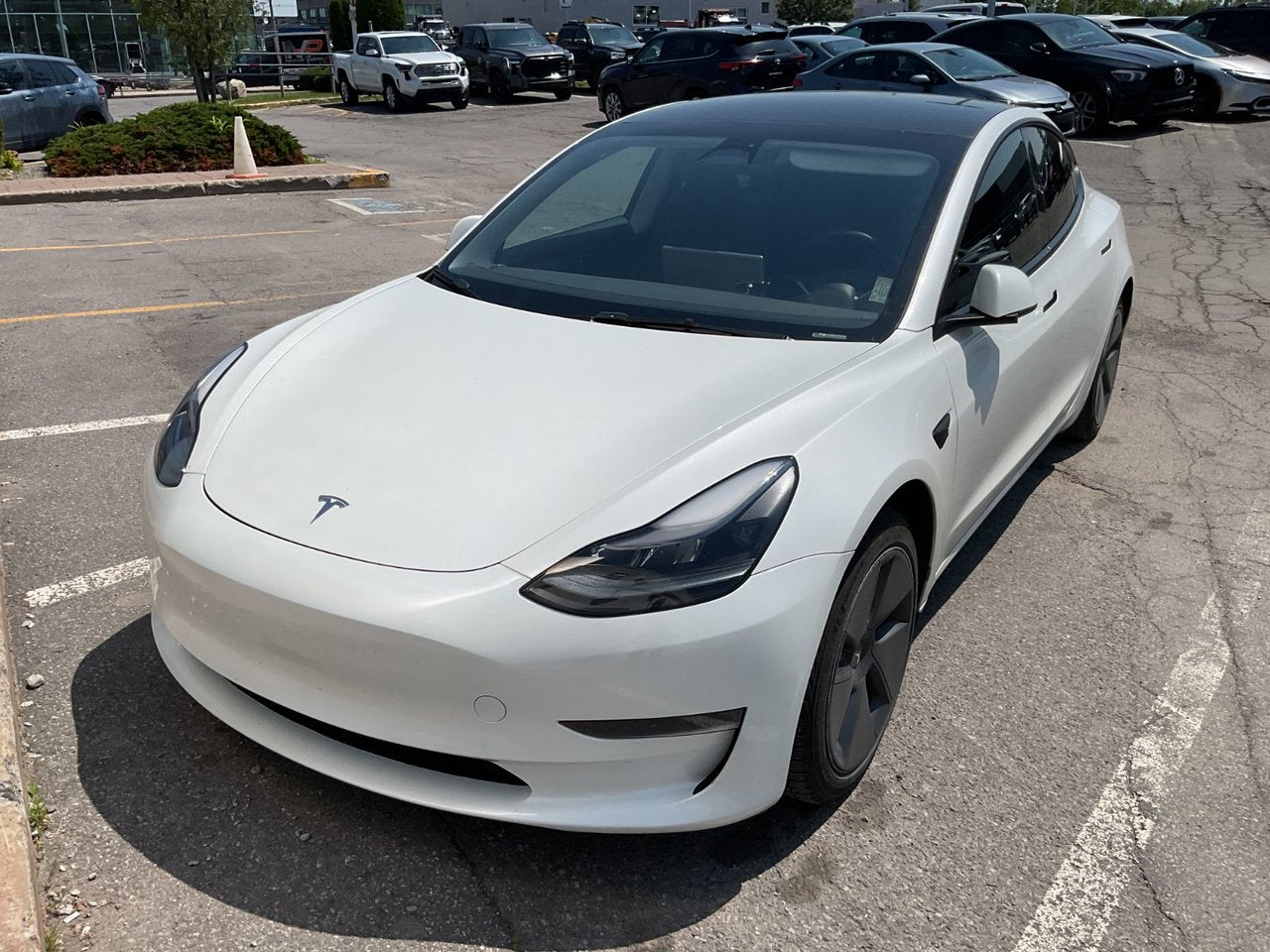 2023 Tesla Model 3 Standard Range Plus