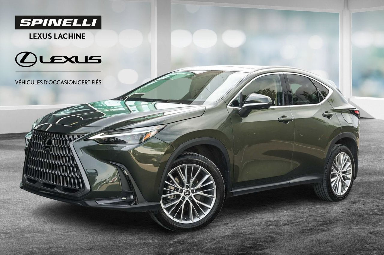 2024 Lexus NX 350 ULTRA LUXURY CUIR PALOMINO TOIT PANO CAM 360