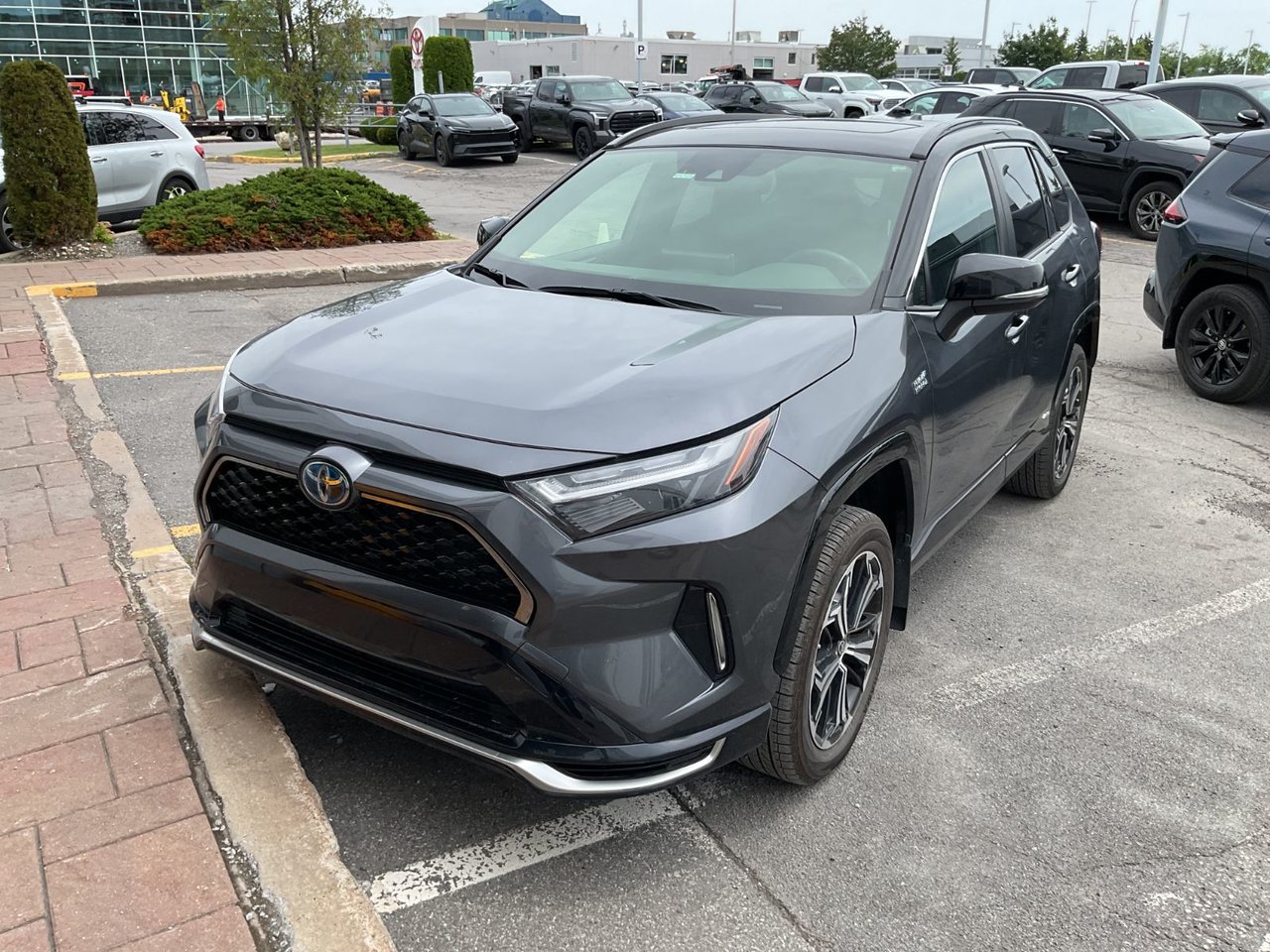 2024 Toyota RAV4 Prime XSE