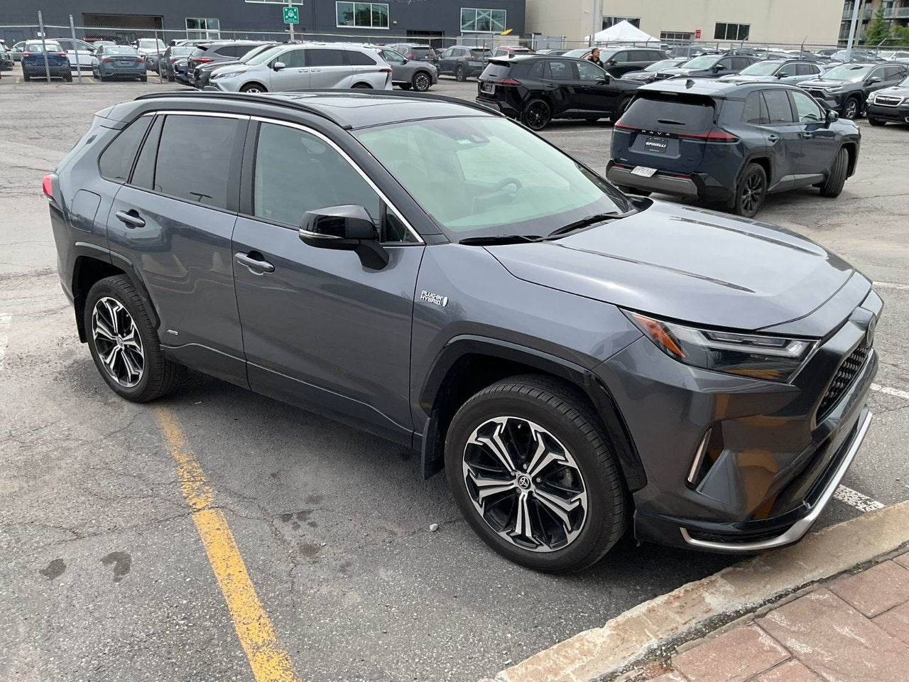 2024 Toyota RAV4 Prime XSE