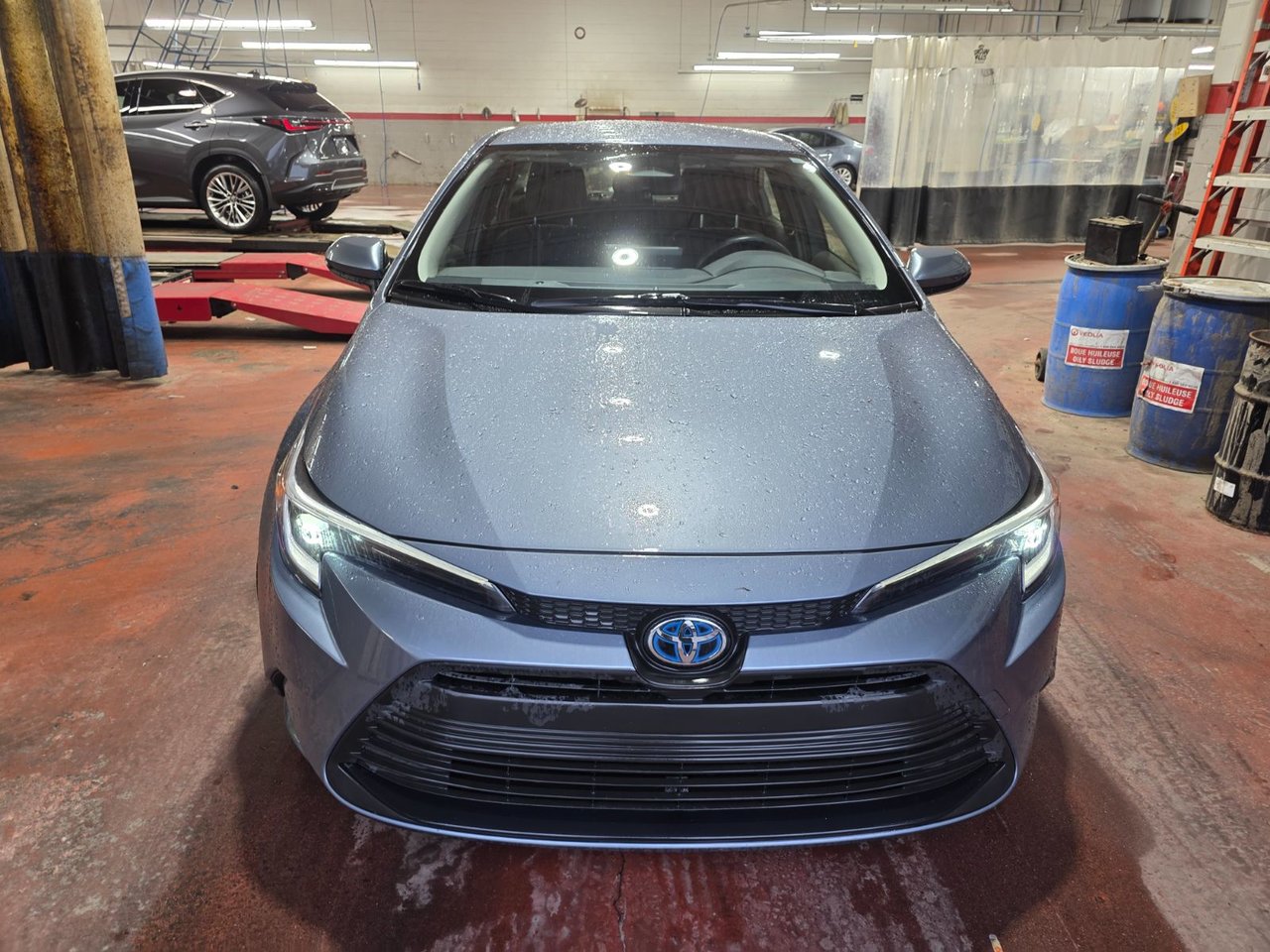 2025 Toyota Corolla Hybrid LE