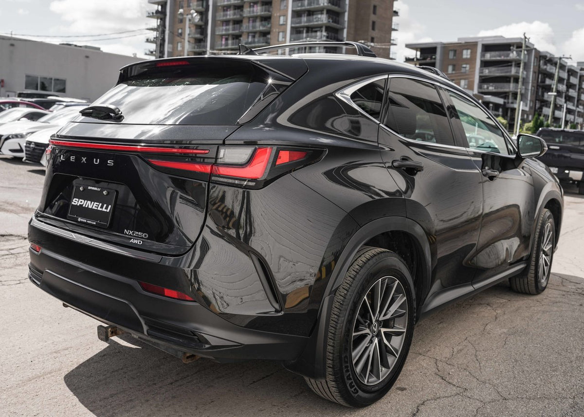 2023 Lexus NX 250