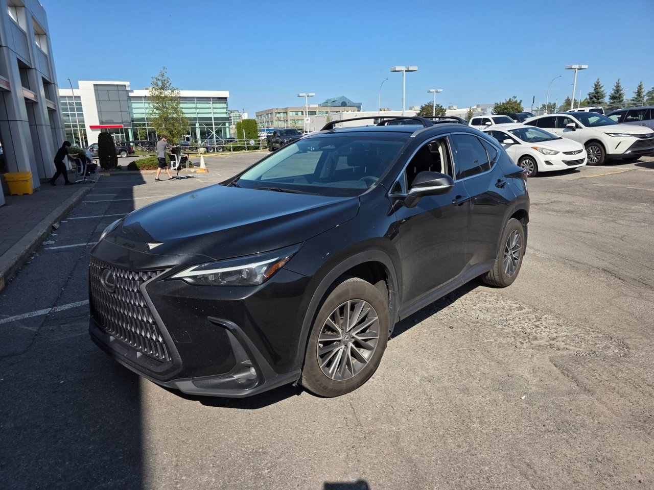 2023 Lexus NX NX 250