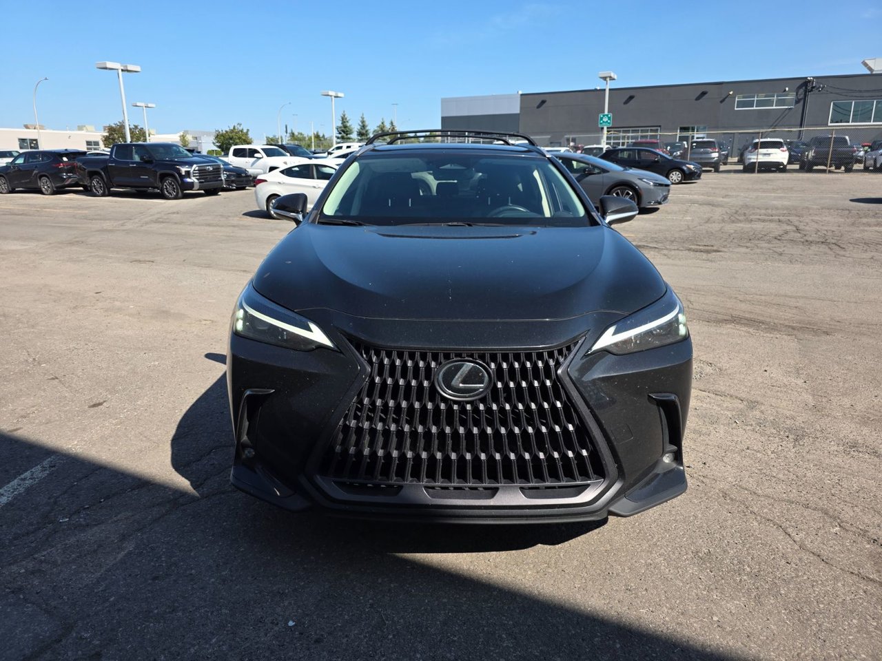 2023 Lexus NX NX 250