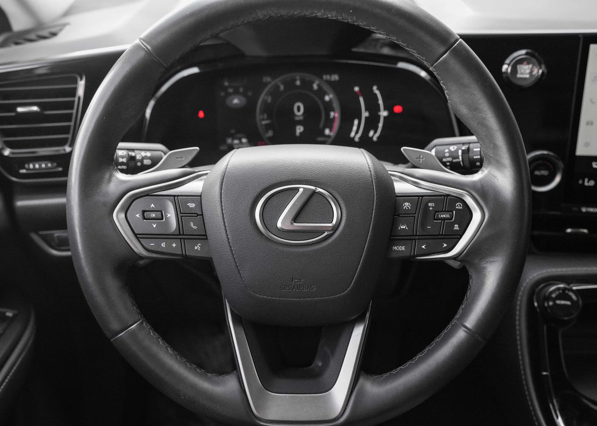 2023 Lexus NX 250