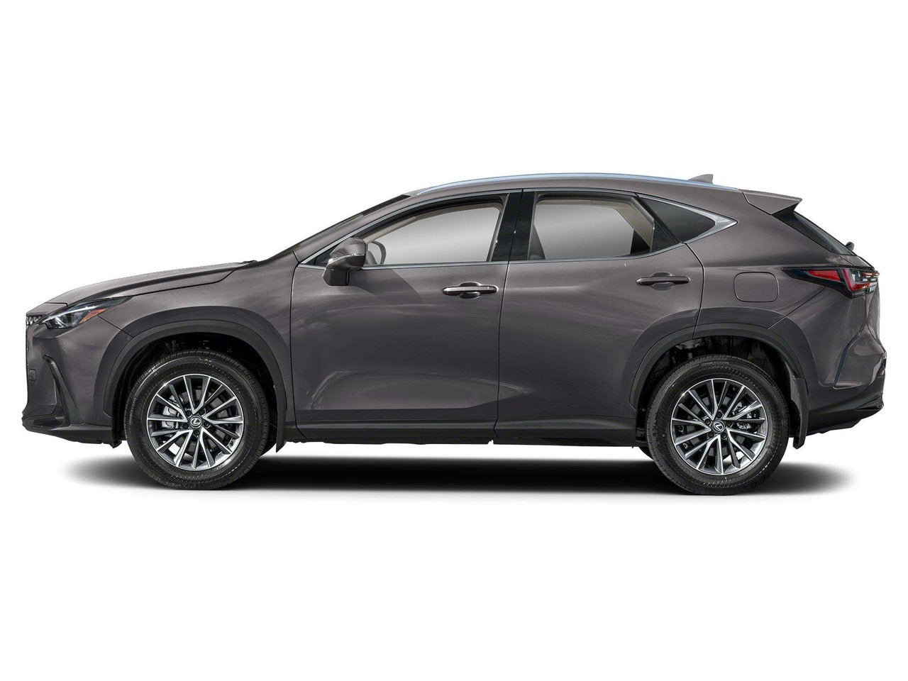 2026 Lexus NX Executive