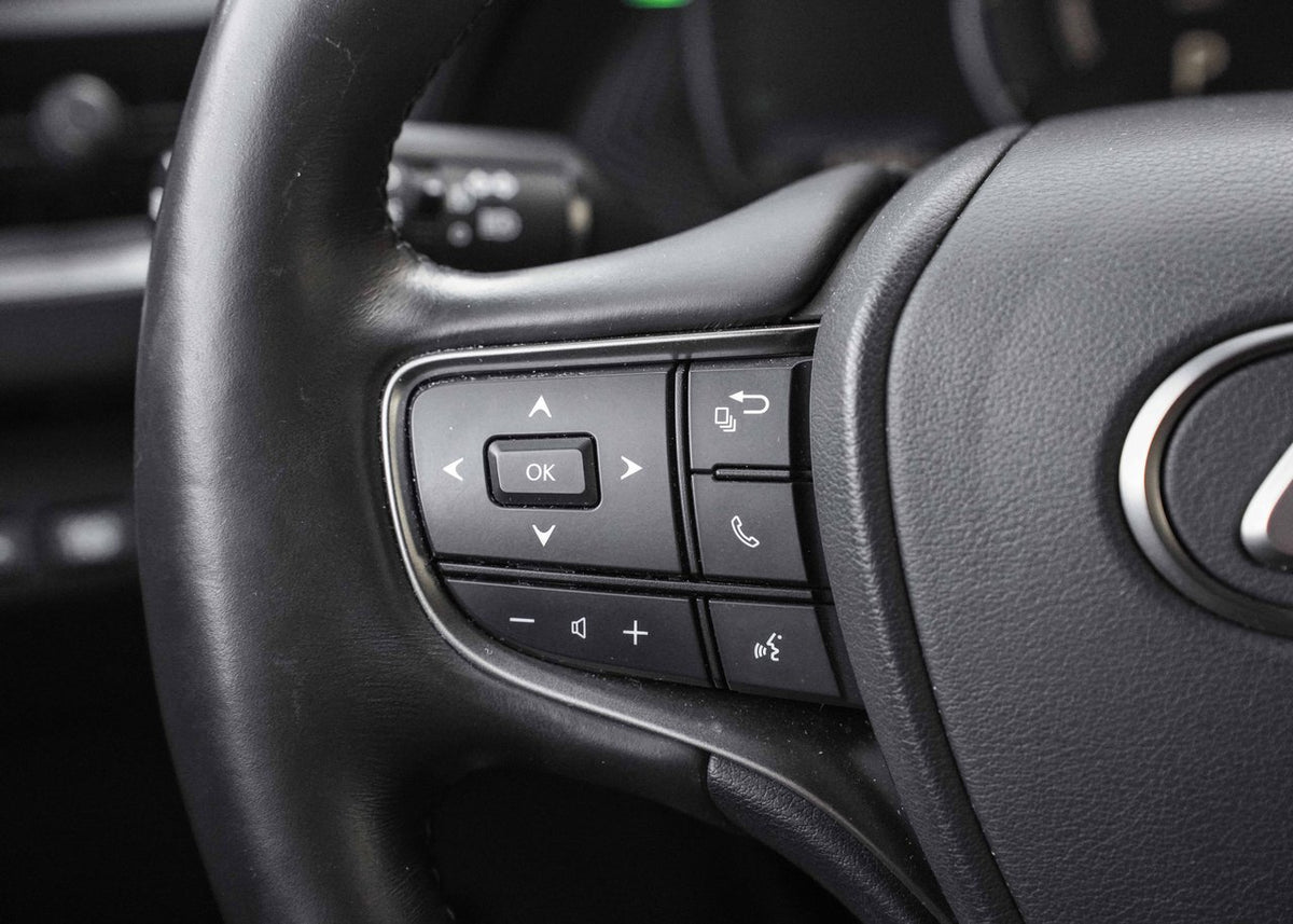 2023 Lexus UX 250h **PREMIUM HYBRIDE AWD**
