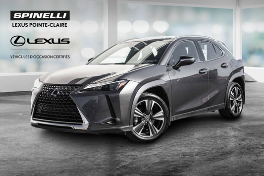 2024 Lexus UX 250h **PREMIUM HYBRIDE AWD**
