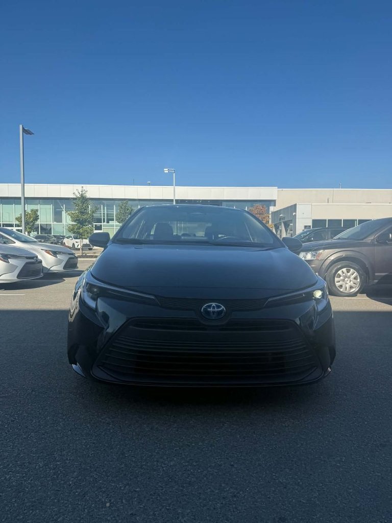 2024 Toyota Corolla LE HYBRID AWD