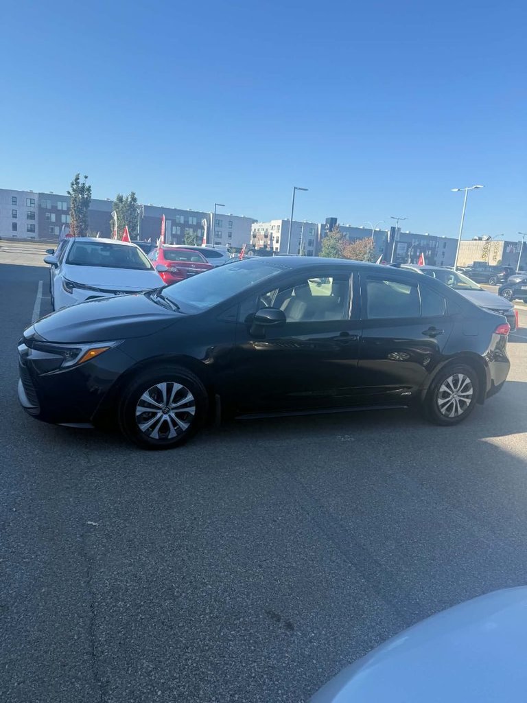 2024 Toyota Corolla LE HYBRID AWD