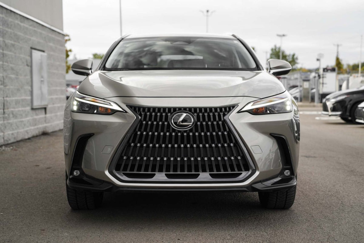 2026 Lexus UX Hybrid 300h