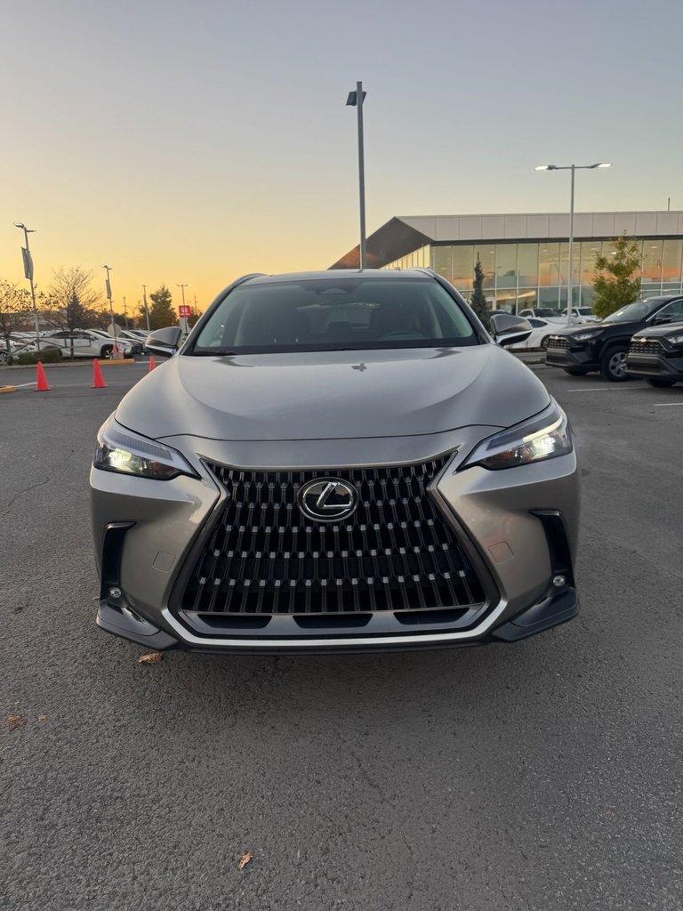 2024 Lexus NX NX 350h