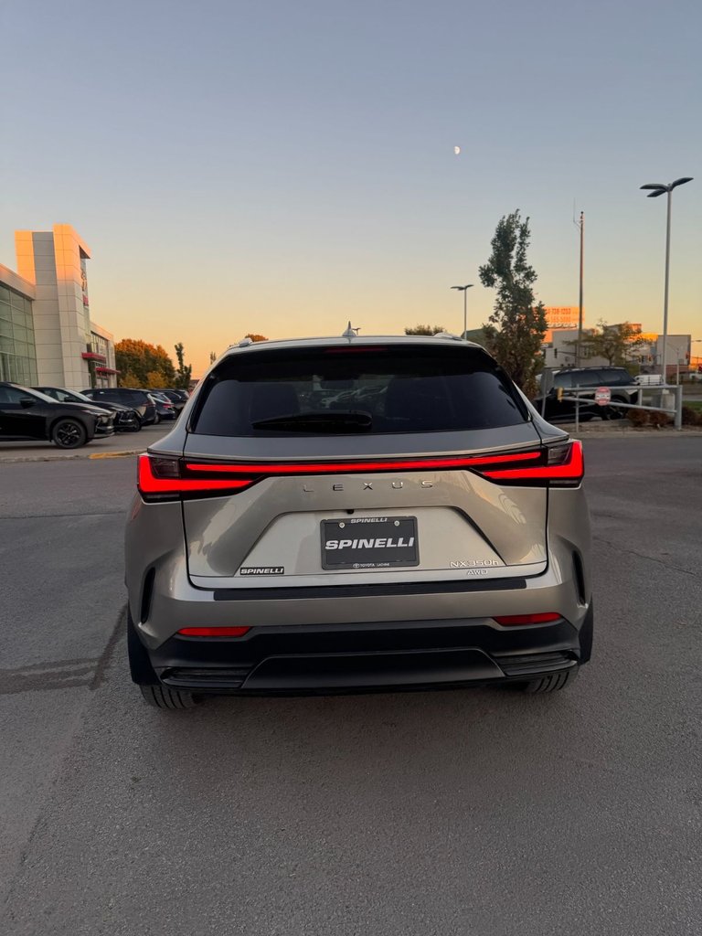 2024 Lexus NX NX 350h