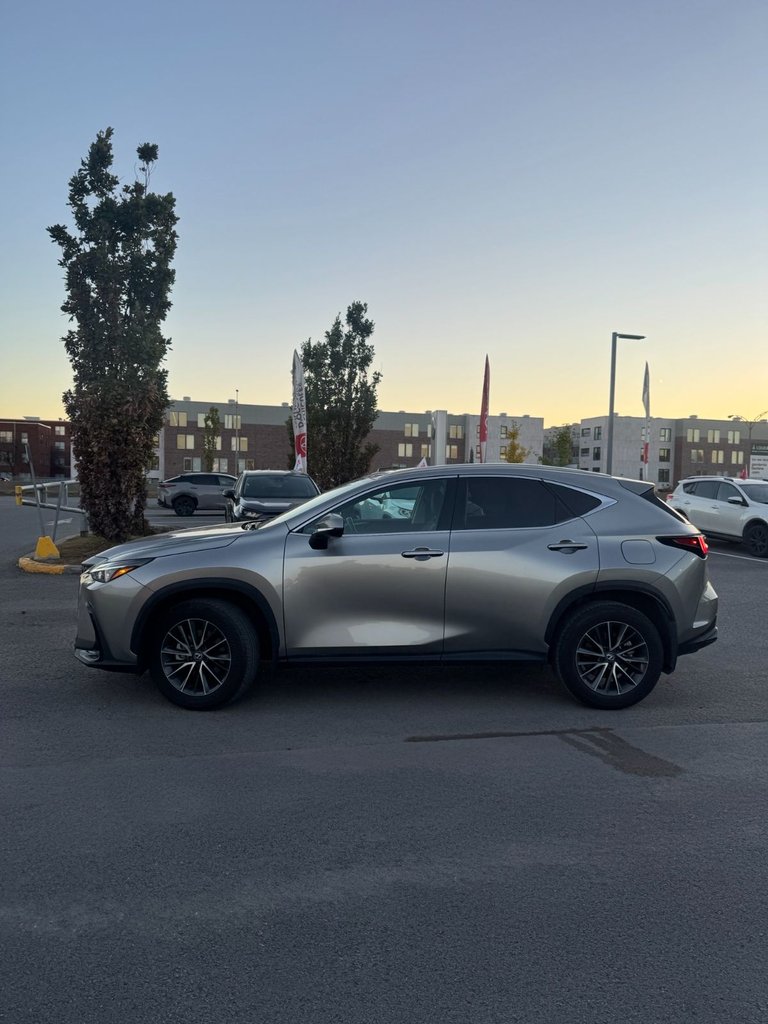 2024 Lexus NX NX 350h